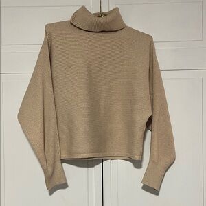 Old Navy Cropped Ribbed Turtleneck Sweater in Beige